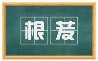 根茇