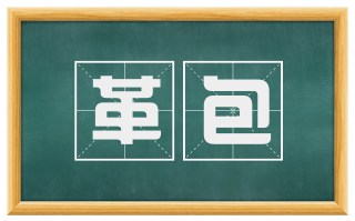 革包