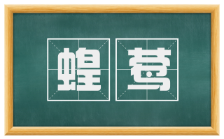 蝗莺
