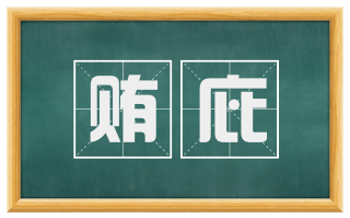 贿庇