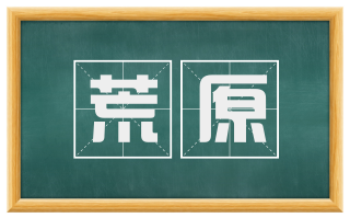 荒原
