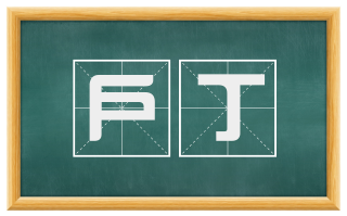 户丁