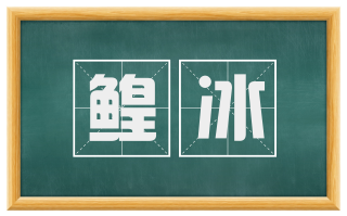 鳇冰