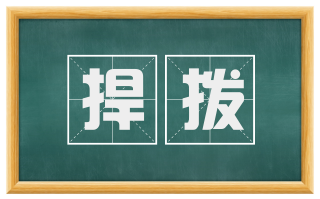 捍拨