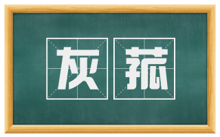 灰菰
