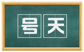 号天