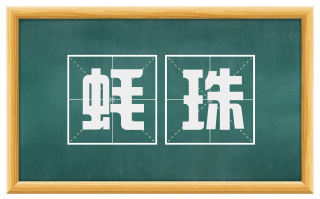 蚝珠