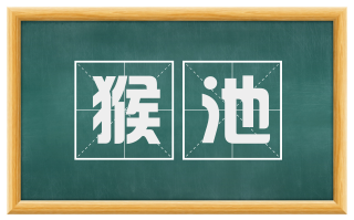 猴池