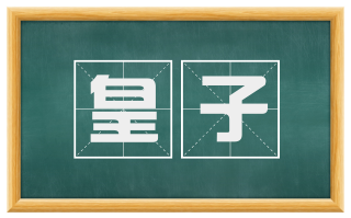 皇子