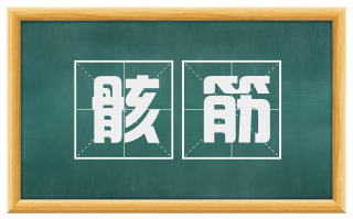 骸筋