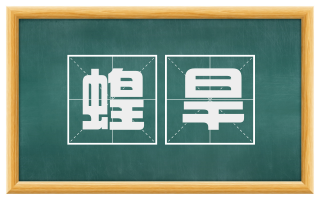 蝗旱