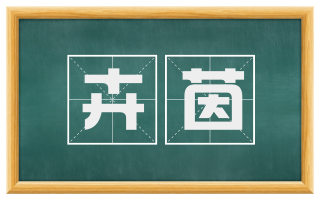 卉茵