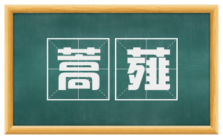 蒿薤