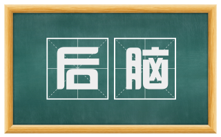 后脑