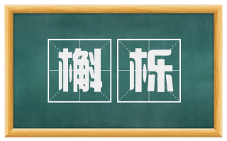槲栎
