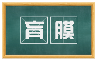 肓膜