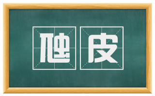 虺皮