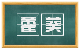藿葵