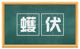 蠖伏