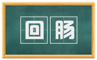 回肠