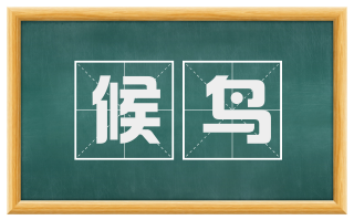 候鸟