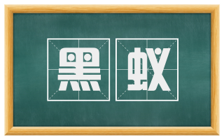黑蚁