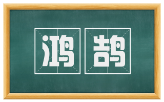 鸿鹄
