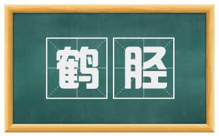 鹤胫