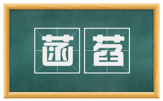 菡萏