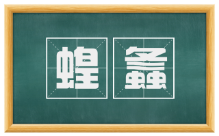 蝗螽