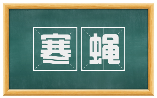寒蝇