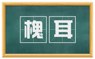 槐耳