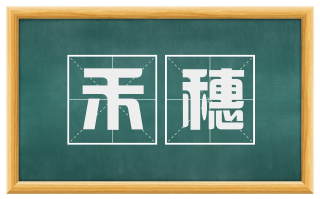 禾穗