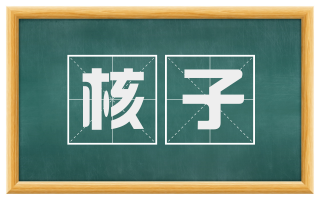 核子