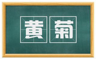 黄菊