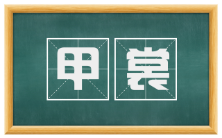 甲裳