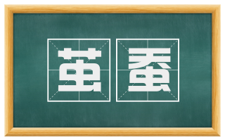 茧蚕