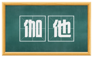 伽他