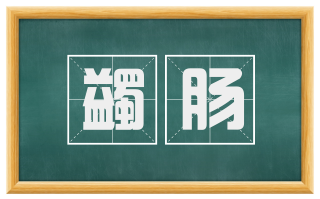 蠲肠