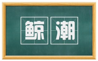 鲸潮