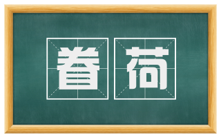 眷荷