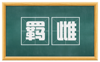 羁雌