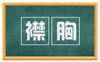 襟胸