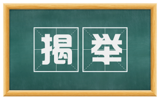 揭举