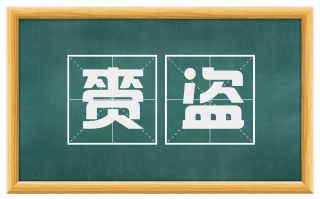 赍盗
