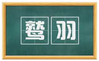鹫羽