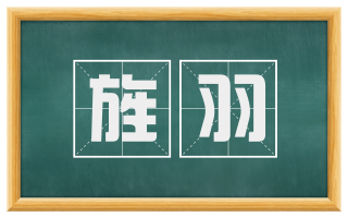 旌羽