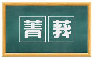 菁莪