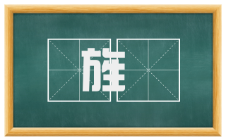 旌毦