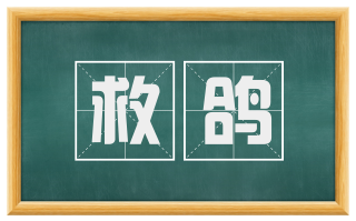 救鸽